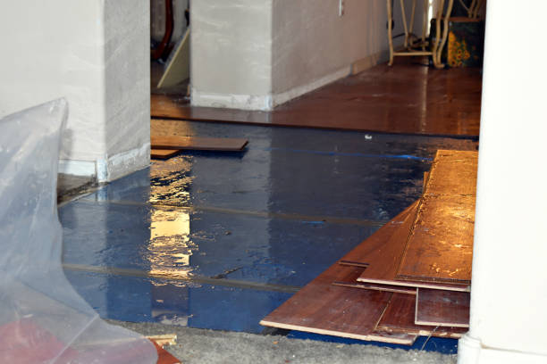 Professional Water Extraction technician working in Waring, TX